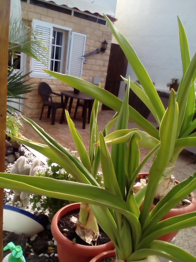 Solo Adultos, Las Tuneras Rooms La Oliva Kültér fotó